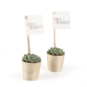 Plante grasse en pot feuille bois de hêtre personnalisable