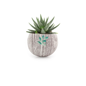 Plante pot céramique aimanté effet bois personnalisable