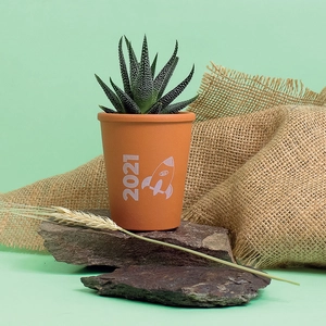 Plante pot terre cuite Ø7cm personnalisable