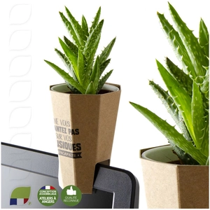 Porte plante d'ordinateur quadri - haworthia personnalisable