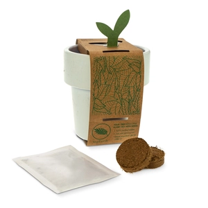 Tasse à café avec graines de tomate cerise - kit de plantation personnalisable