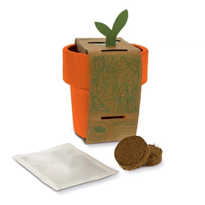 Tasse à café avec graines de tomate cerise - kit de plantation personnalisable