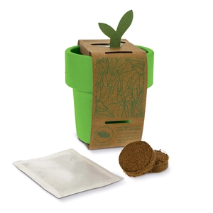 Tasse à café avec graines de tomate cerise - kit de plantation personnalisable