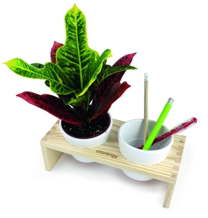 Plateau en bois avec plant et 2 pots céramique personnalisable