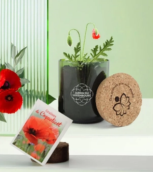 Kit bouteille de vin recyclée avec sachet de graines personnalisable