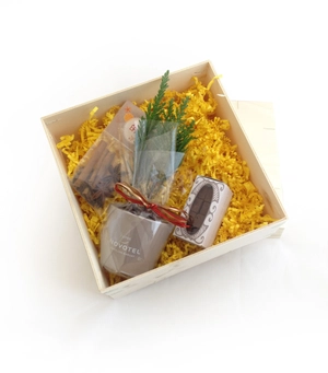 Coffret Chocolat avec plant de sapin et épices personnalisable