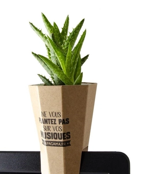 Porte plante d'ordinateur quadri - haworthia personnalisable