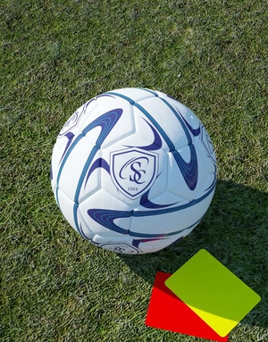 Ballon de Foot Pro Taille 5 officielle - Ballon cousu machine personnalisable