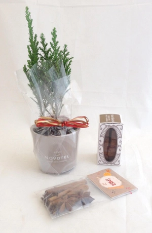 Coffret Chocolat avec plant de sapin et épices personnalisable