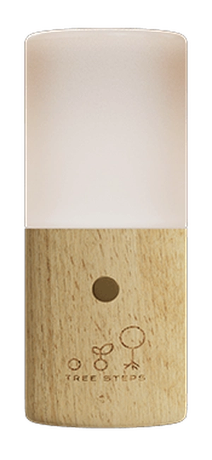 Lampe de table LED avec base en bois de hêtre - batterie 1200mAh personnalisable