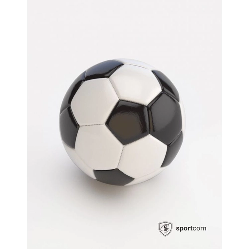 image du produit Ballon de Foot Loisirs