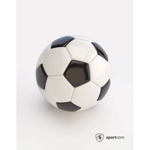 image du produit Ballon de Foot Loisirs Taille 5