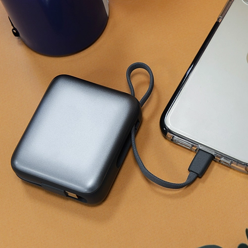 image du produit Batterie de secours avec 2 câbles - 10 000 mAh