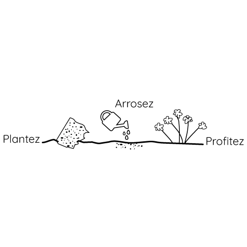 image du produit Bloc-notes à graines