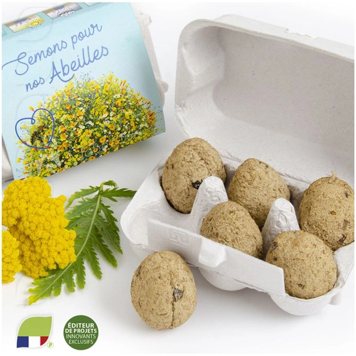 image du produit Boite à oeufs seed bomb