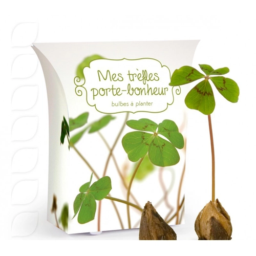 image du produit Boîte good luck avec bulbes de trèfle 4 feuilles