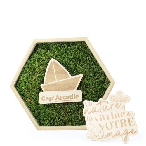 image du produit Cadre en bois avec mousse naturelle - Forme Hexagonale