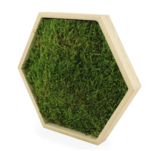 image du produit Cadre en bois avec mousse naturelle - Forme Hexagonale