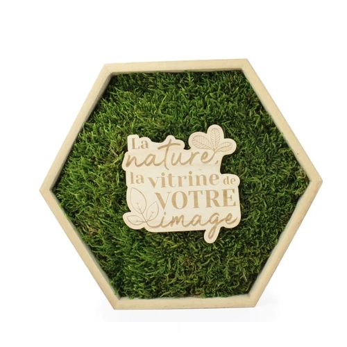 image du produit Cadre en bois avec mousse naturelle - Forme Hexagonale