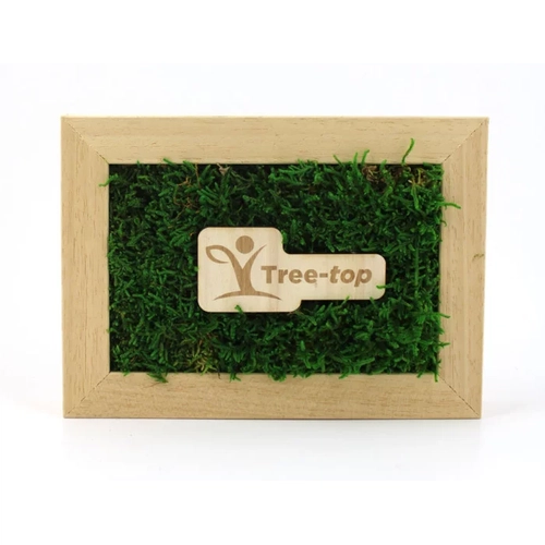 image du produit Cadre en bois avec mousse naturelle - Forme Rectangle