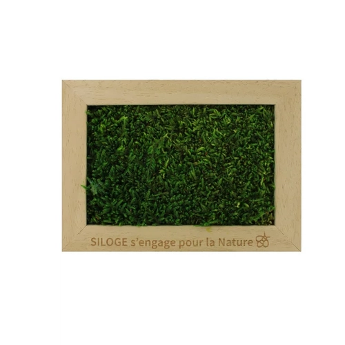 image du produit Cadre en bois avec mousse naturelle - Forme Rectangle