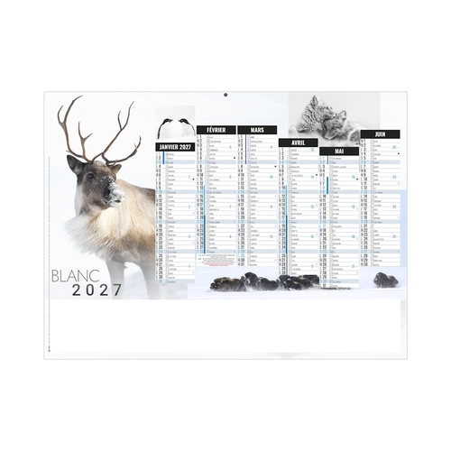 image du produit Calendrier bancaire publicitaire thème animal polaire