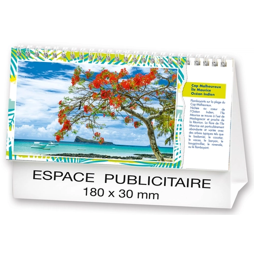 image du produit Calendrier chevalet 2025  PLAGES DE REVE 21 x 15 cm - 13 feuillets