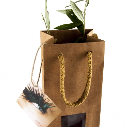 image du produit Cep de vigne en pot terre cuite avec sac kraft prestige brun