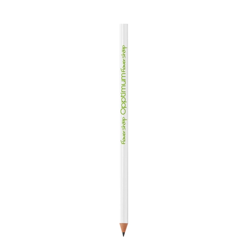 image du produit Crayon avec bout coupé 100% recyclable