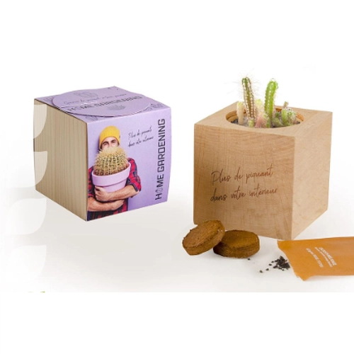 image du produit Ecocube en bois MADE IN France -  avec sachet de graines