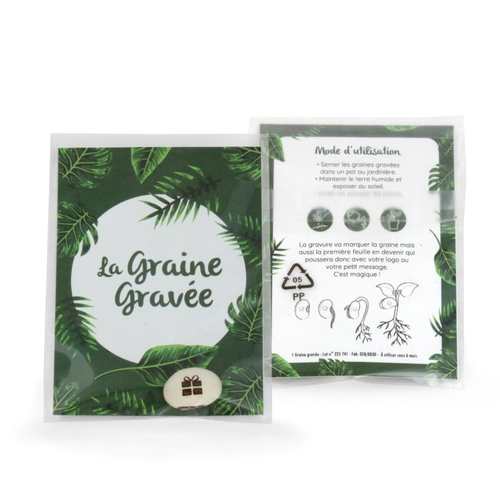 image du produit Graines gravées avec fiche d'instruction, sachet transparent