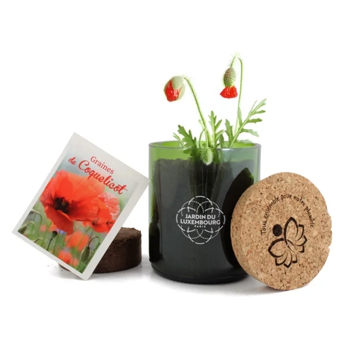 image du produit Kit bouteille de vin recyclée avec sachet de graines