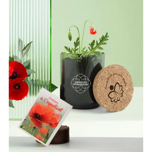 image du produit Kit bouteille de vin recyclée avec sachet de graines