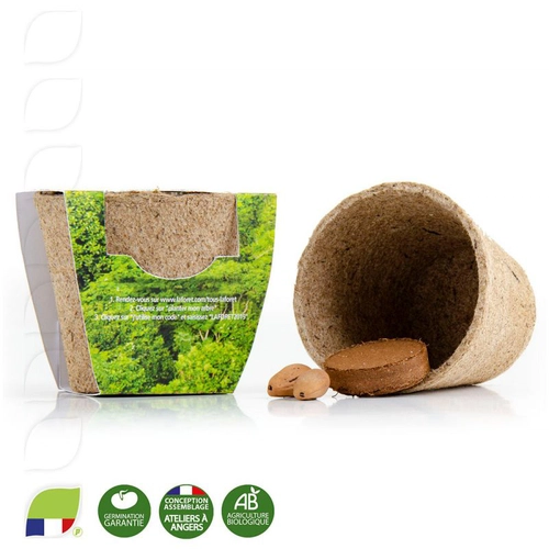 image du produit Kit de plantation avec pot en tourbe biodégradable