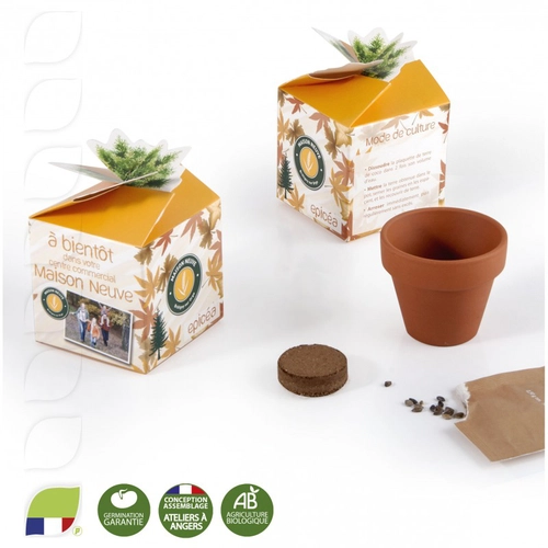 image du produit Kit de plantation boite cube avec graines