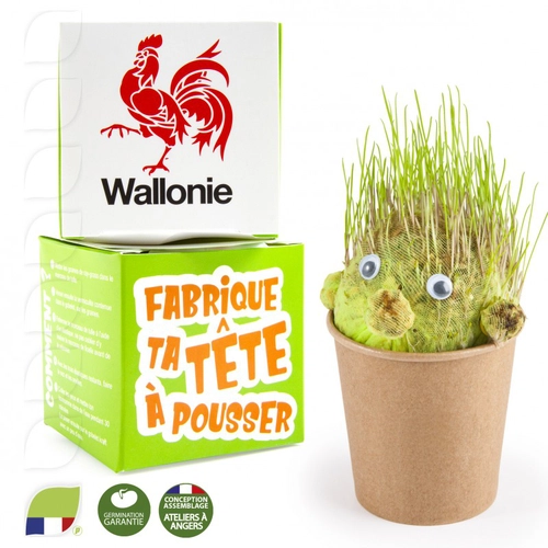 image du produit Kit de plantation DIY tête à pousser, pot en carton