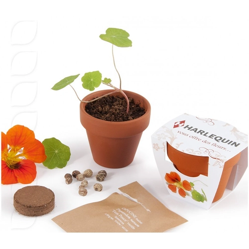 image du produit Kit de plantation en pot terre cuite avec graines