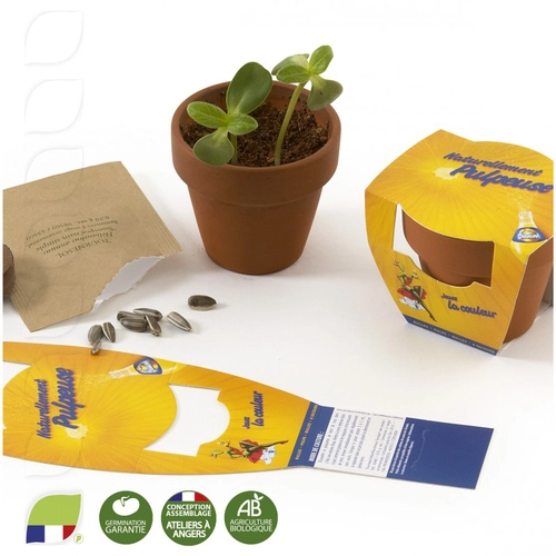 image du produit Kit de plantation en pot terre cuite avec graines