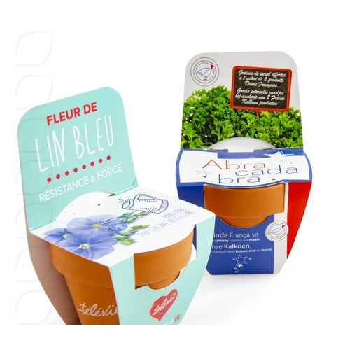 image du produit Kit de plantation terre cuite 70 mm avec graines à planter