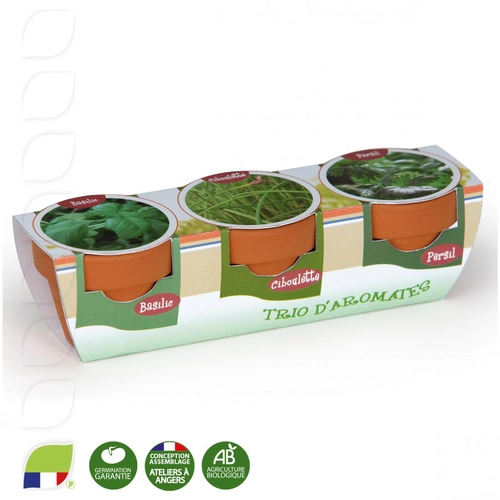 image du produit Kit de plantation trio de pots terre cuite, graines à semer