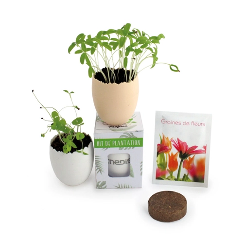 image du produit Kit petit pot œuf avec graines, recyclé et recyclable