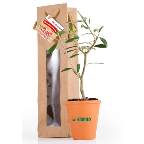 image du produit Plant d'olivier en pot terre et sac prestige kraft