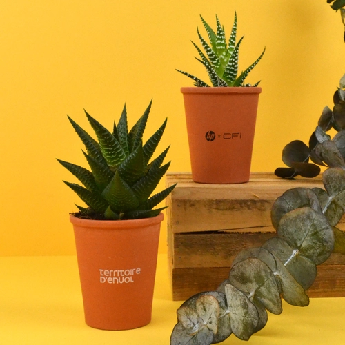 image du produit Plante pot terre cuite Ø7cm