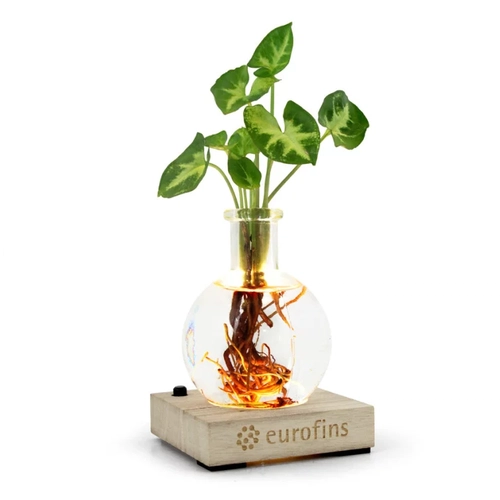 image du produit Plante vase avec socle lumineux