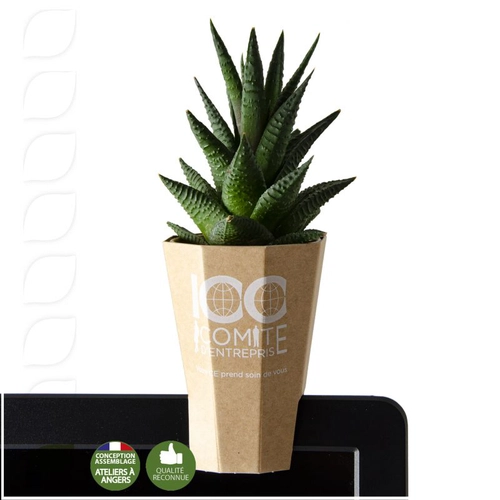 image du produit Porte plante d'ordinateur quadri - haworthia