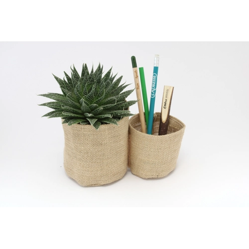 image du produit Pots à crayons avec plante en jute