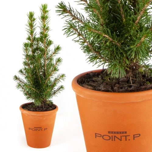 image du produit Sapin de noël en pot terre cuite et sac kraft prestige