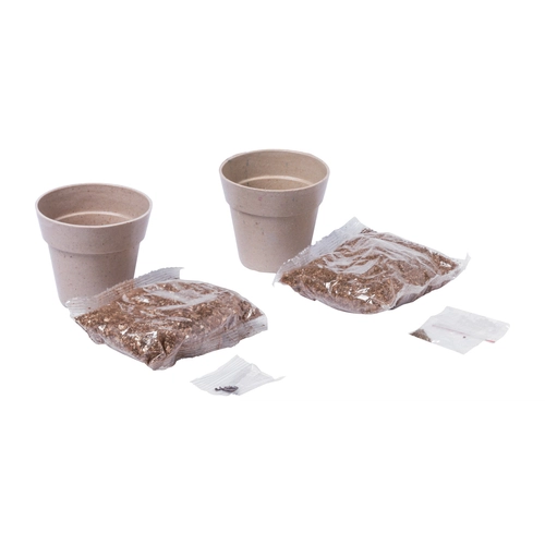 image du produit Set de 2 pots biodégradable avec graines de menthe et persil