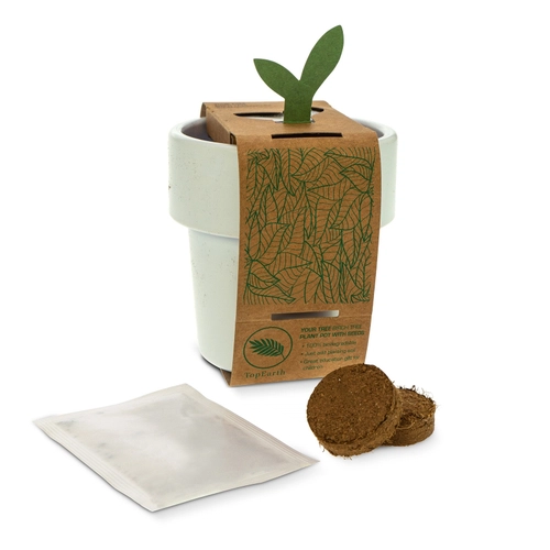 image du produit Tasse à café avec graines de tomate cerise - kit de plantation