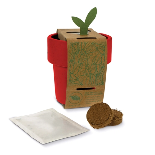 image du produit Tasse à café avec graines de tomate cerise - kit de plantation